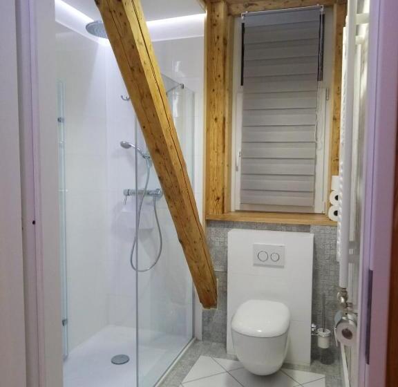 Willa Jasna Apartamenty Centrum Zakopane