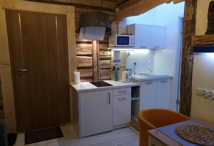 Willa Jasna Apartamenty Centrum Zakopane