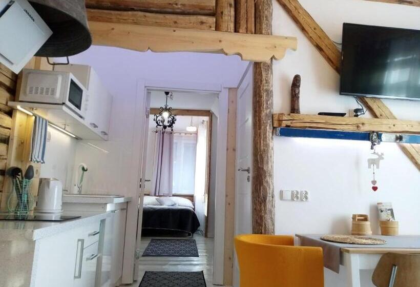 Willa Jasna Apartamenty Centrum Zakopane