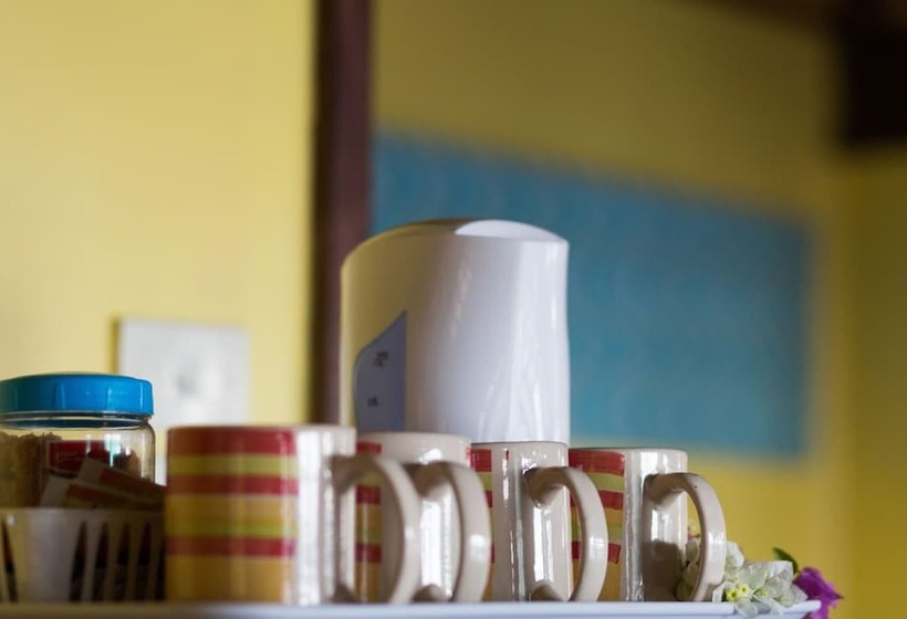 Общежитие Funky Fish Beach & Surf Resort