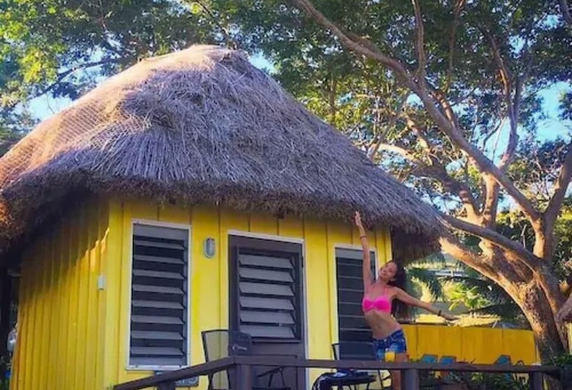 Общежитие Funky Fish Beach & Surf Resort