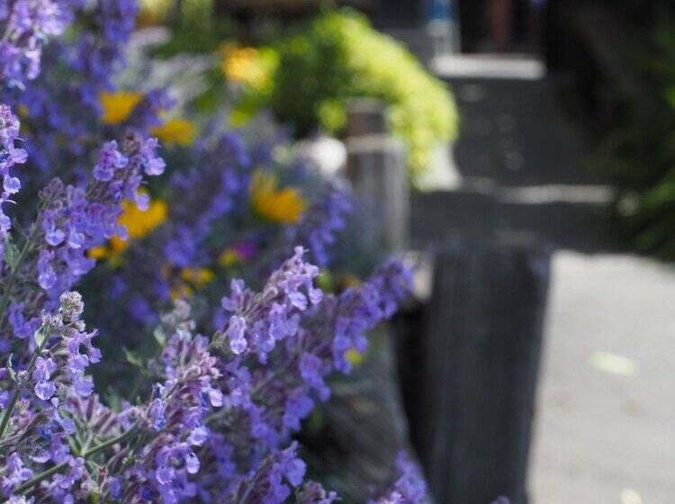 הוסטל Tasman Bay Backpackers