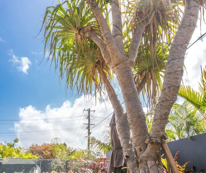 Bed and Breakfast Aloha Byron Bay