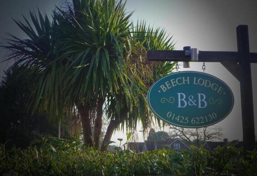 ベッドアンドブレックファースト Beech Lodge Guest House