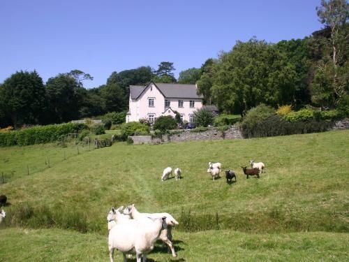住宿加早餐  Bracken House Bed&Breakfast
