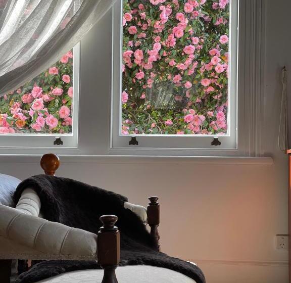 مبيت وإفطار Cambridge House