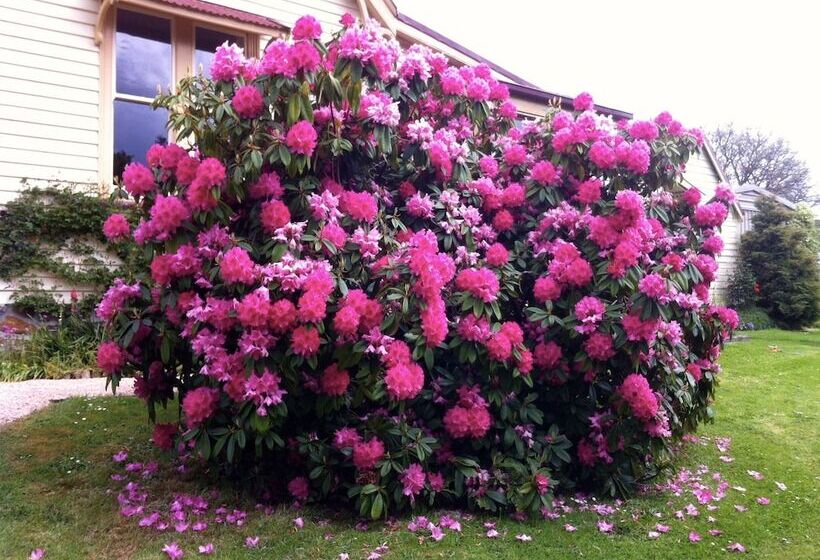 مبيت وإفطار Cambridge House