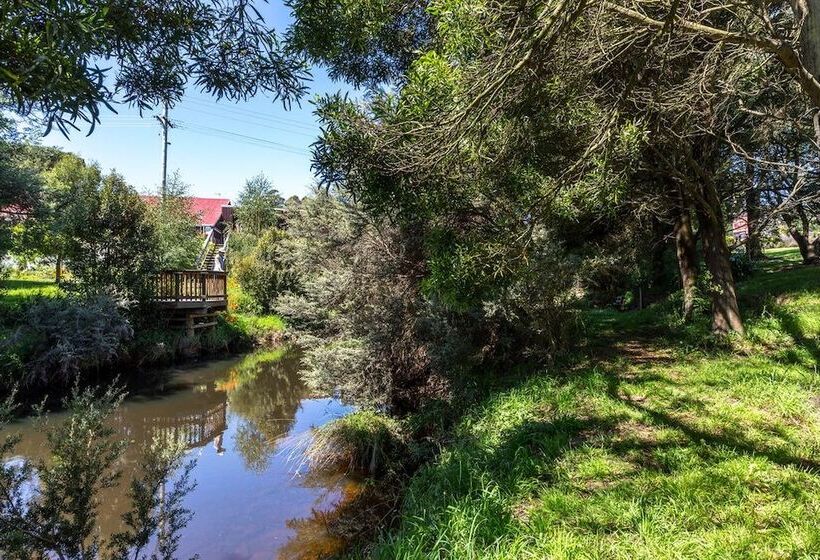 مبيت وإفطار Cambridge House