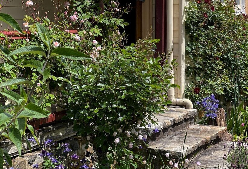 مبيت وإفطار Cambridge House