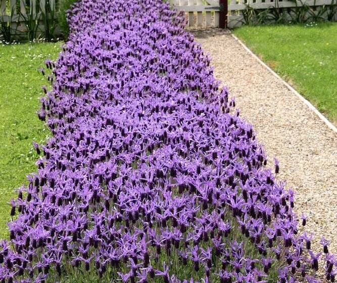 مبيت وإفطار Cambridge House