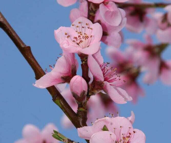 مبيت وإفطار Cambridge House