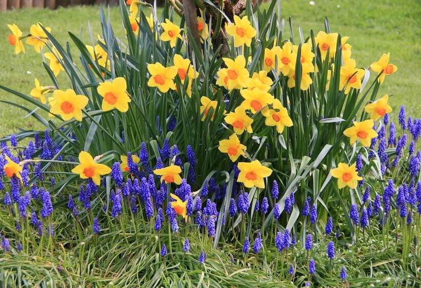 مبيت وإفطار Cambridge House