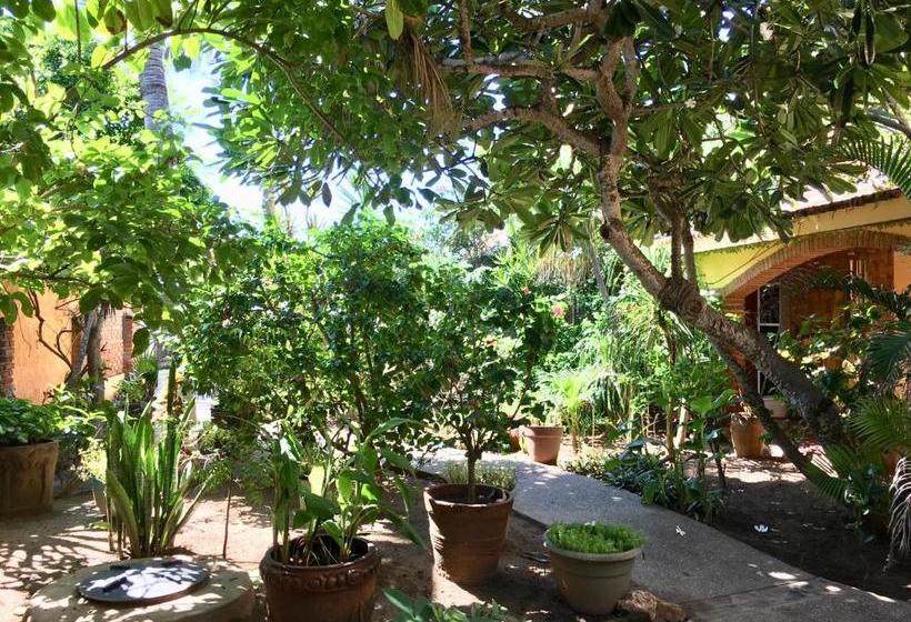 مبيت وإفطار El Sol La Vida Beach Front B/b Adults Only