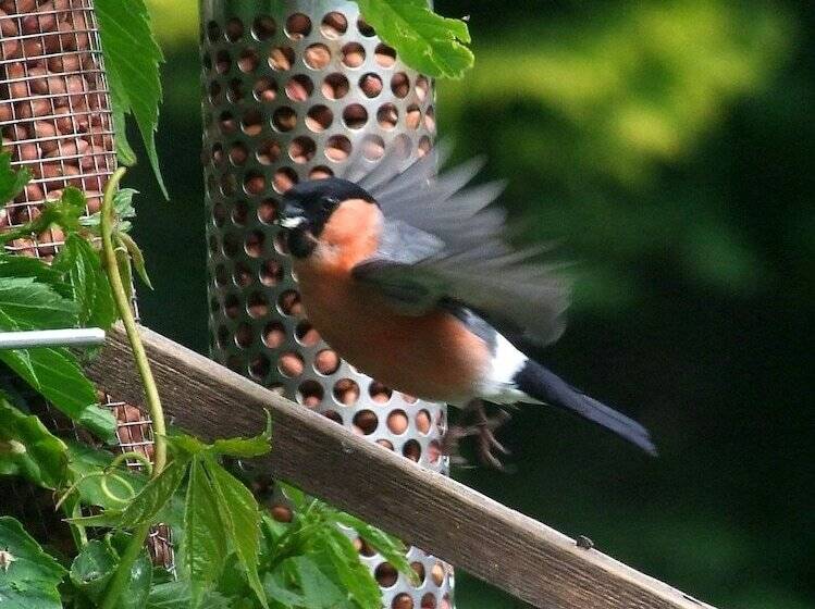 민박 Gallentreath Guest House