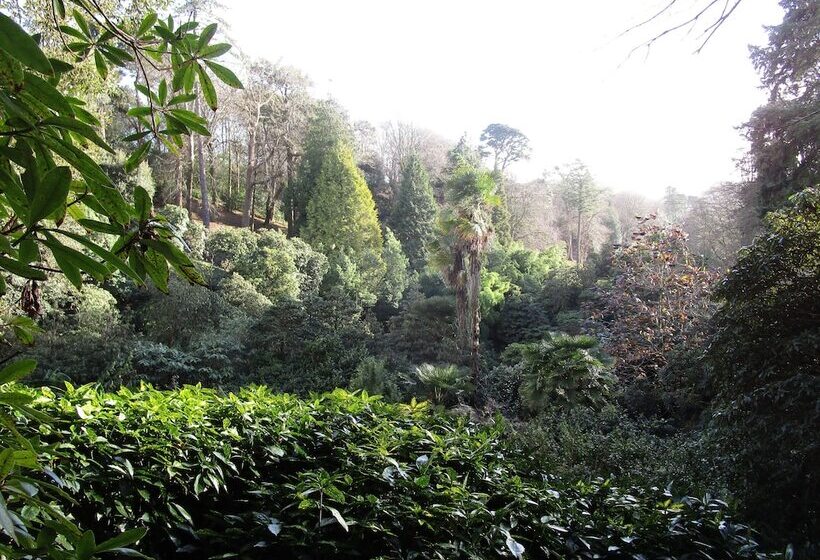 민박 Gallentreath Guest House