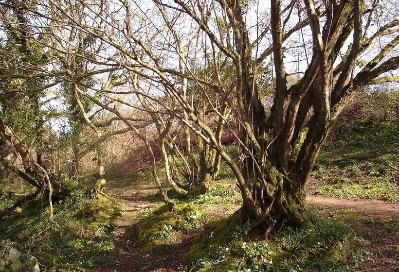 민박 Gallentreath Guest House