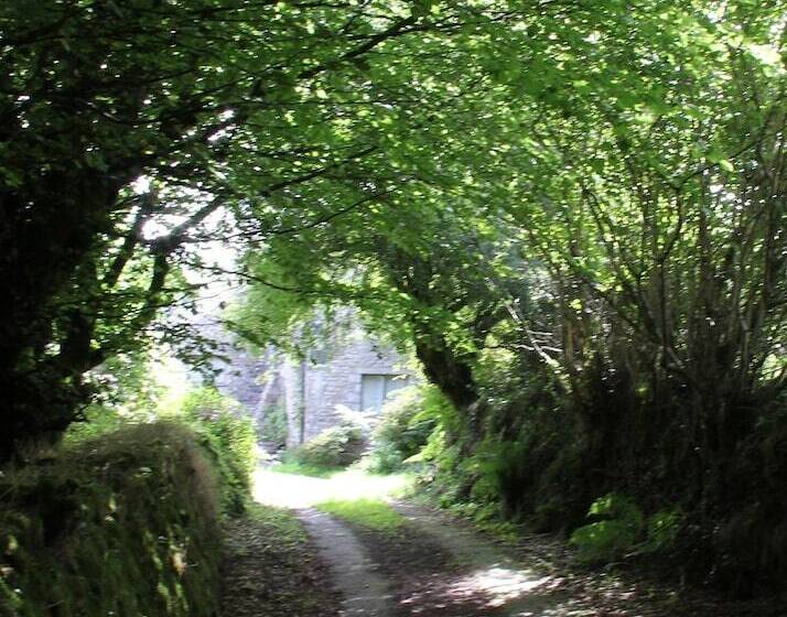 ベッドアンドブレックファースト Mennabroom