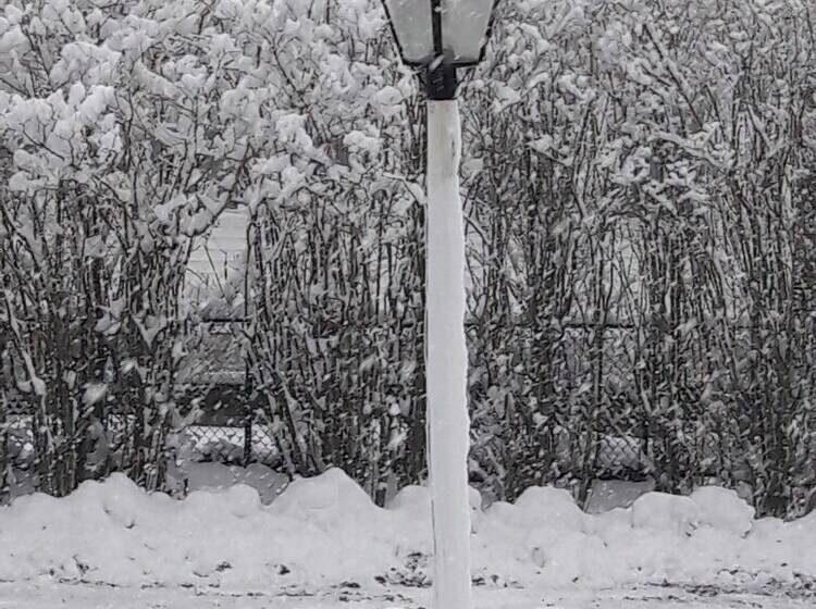 مبيت وإفطار Proctor Mansion Inn