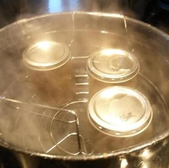 مبيت وإفطار Sally Webster Inn