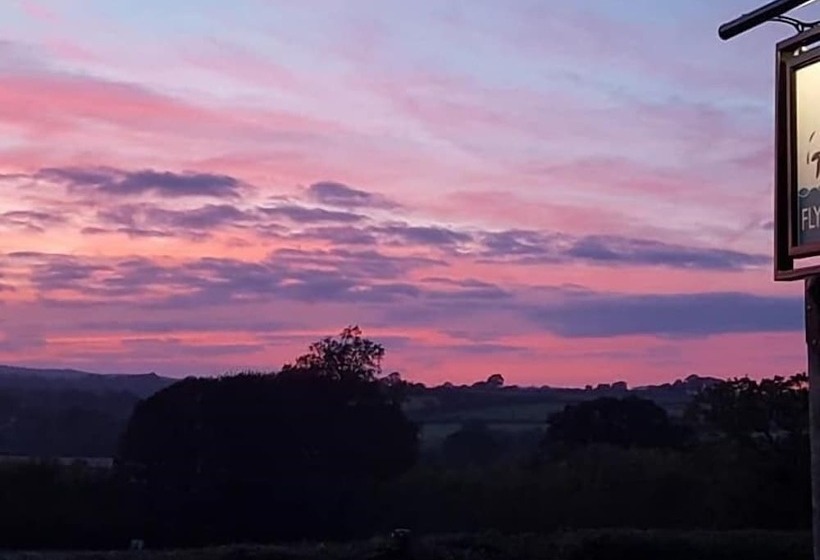 مبيت وإفطار The Flying Fish Stables