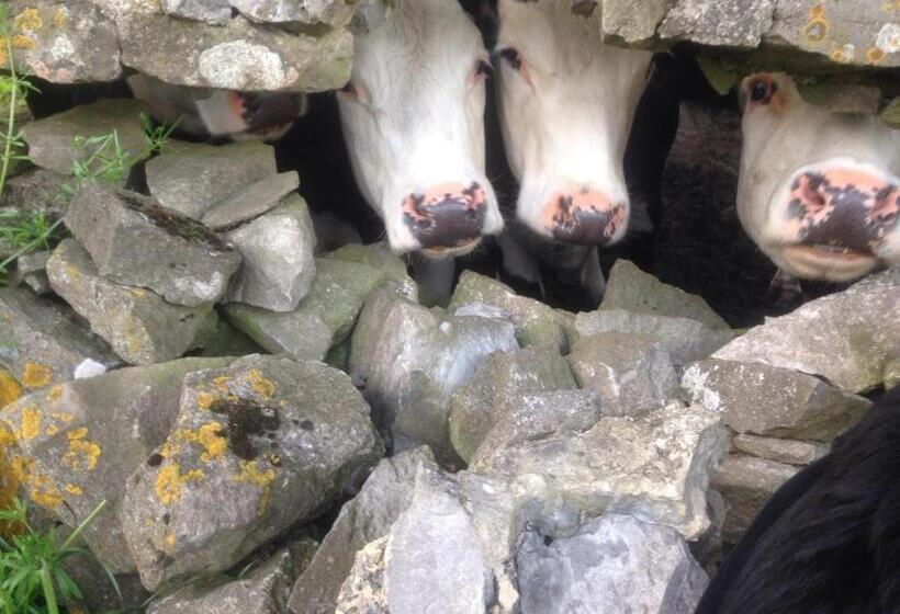 تختخواب و صبحانه The Queen Anne