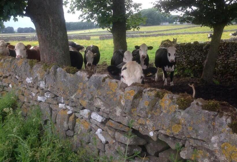 تختخواب و صبحانه The Queen Anne