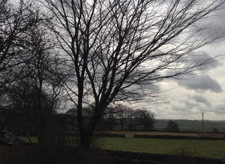 تختخواب و صبحانه The Queen Anne