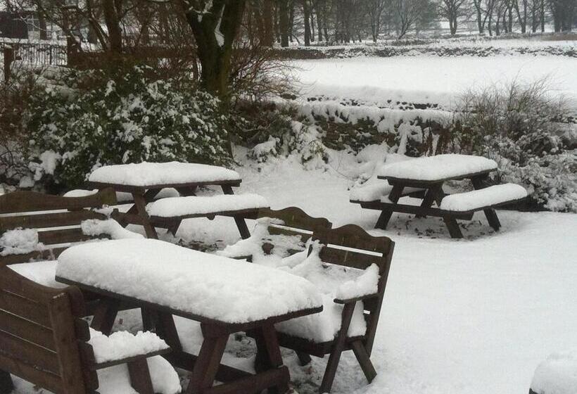 تختخواب و صبحانه The Queen Anne