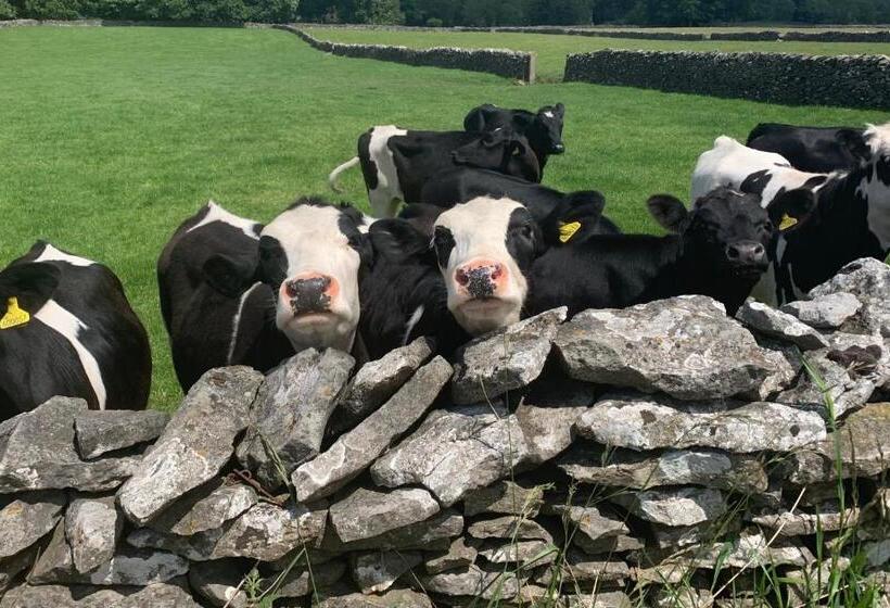 تختخواب و صبحانه The Queen Anne