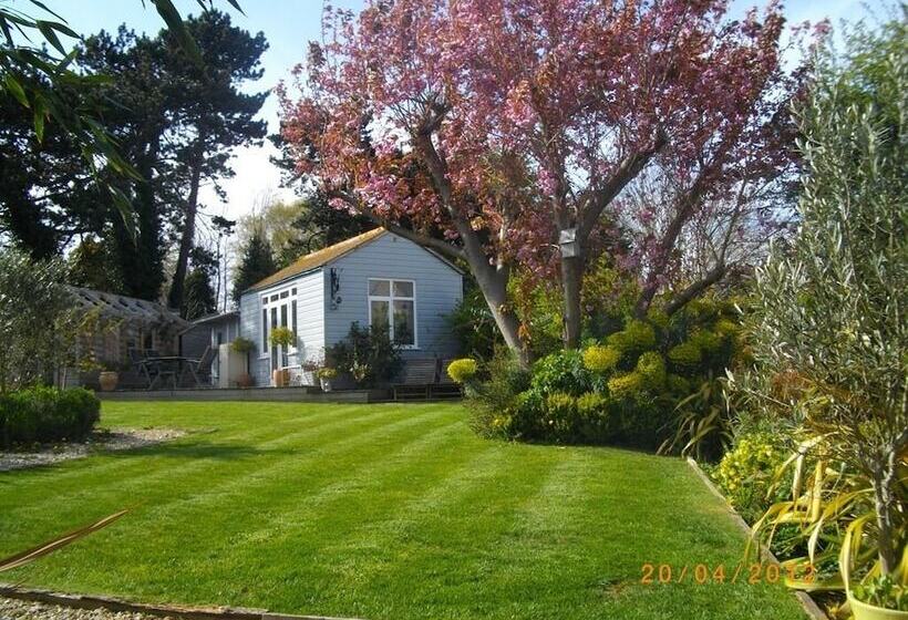 Birch House Bed & Breakfast