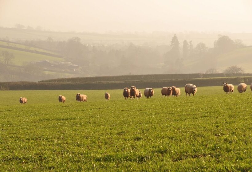 Brambles Bed And Breakfast