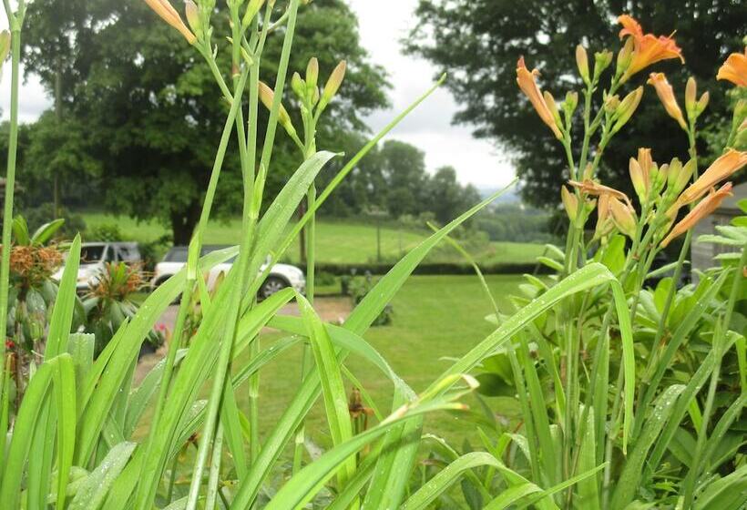 Brambles Bed And Breakfast