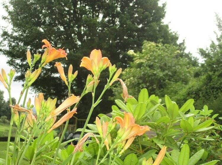 Brambles Bed And Breakfast