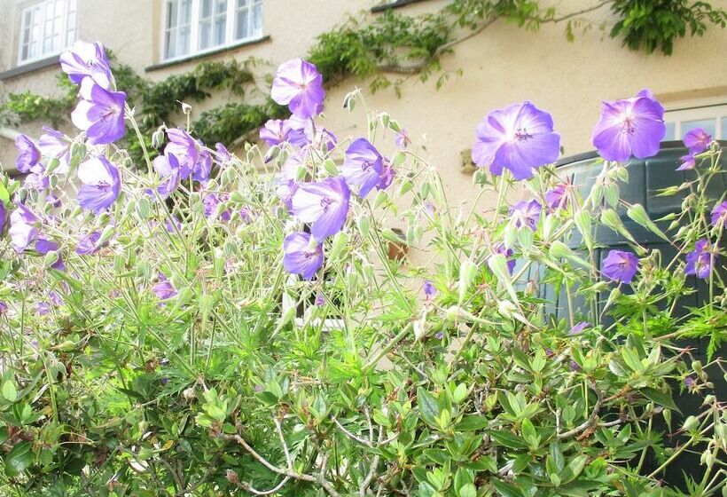 Brambles Bed And Breakfast