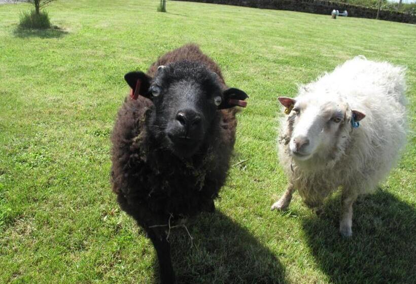 Broadlea Of Robgill Country Cottage & Bed And Breakfast