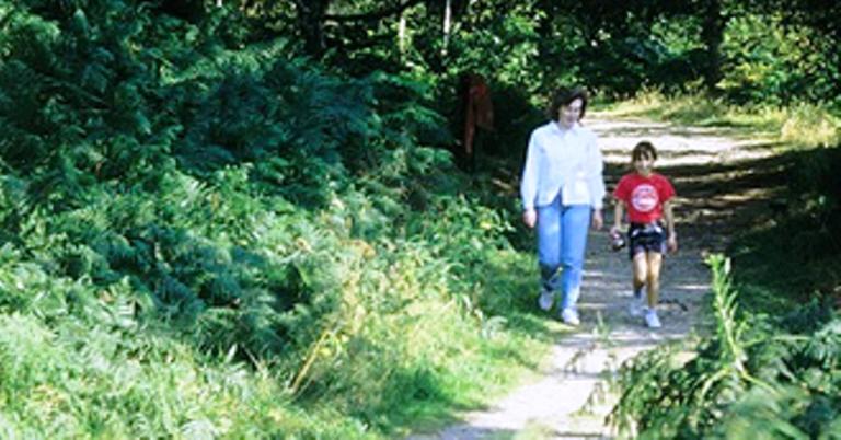 Broadlea Of Robgill Country Cottage & Bed And Breakfast