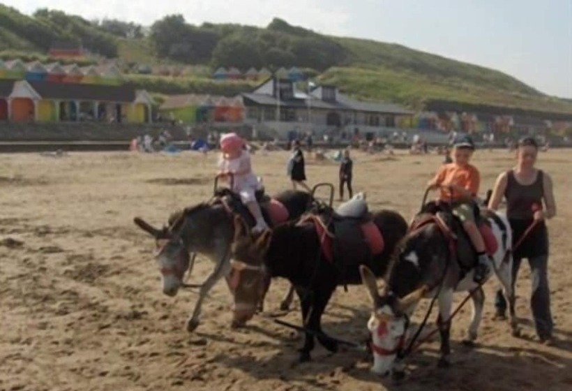 Chomley Holiday Flats