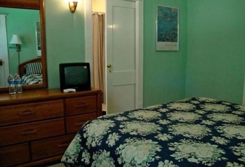 Finger Lakes Bed And Breakfast