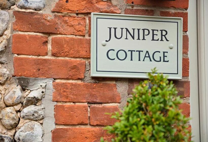 Holly Lodge Boutique B&b