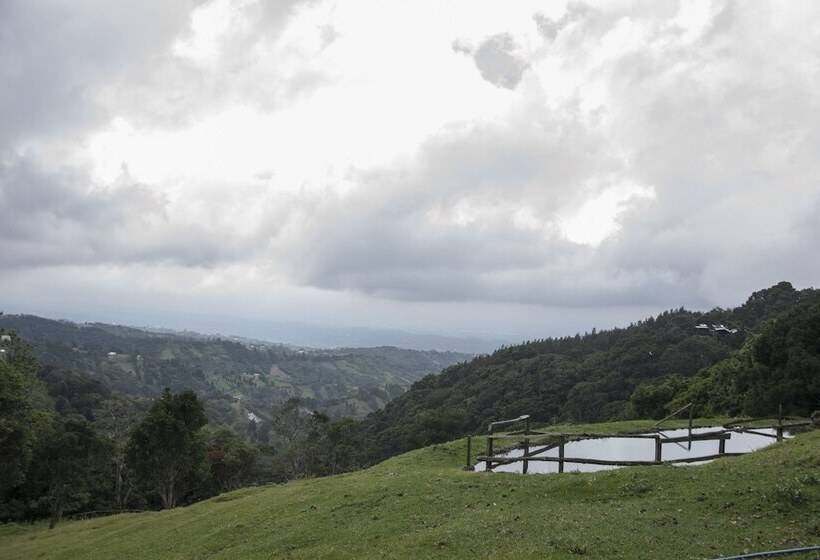 فندق Alto Palomo