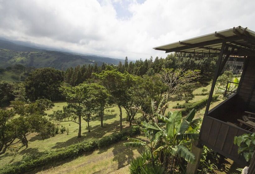 فندق Alto Palomo