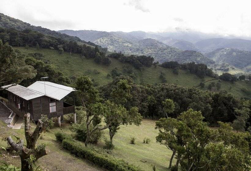 فندق Alto Palomo