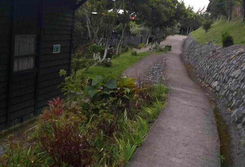 فندق Alto Palomo