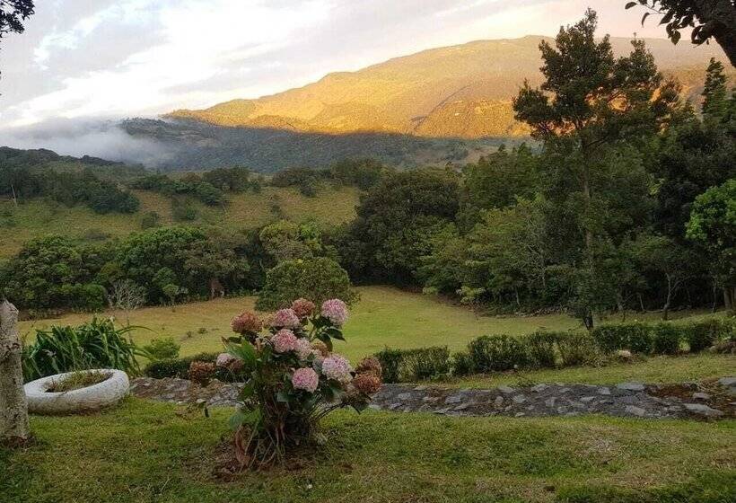 فندق Alto Palomo