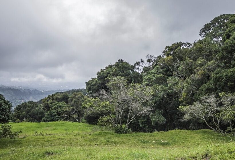 فندق Alto Palomo