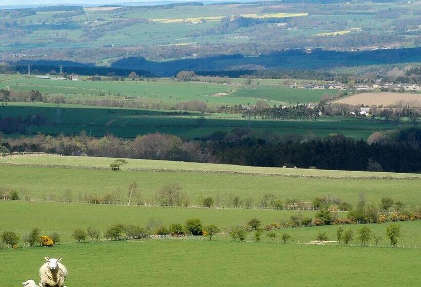 בית מלון כפרי The Anchor Inn