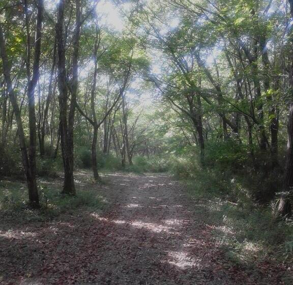 فندق Floracion Nasu