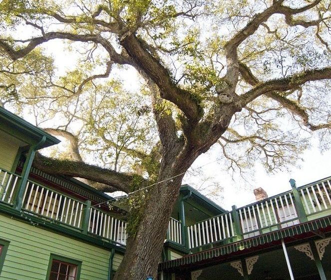 فندق Florida House Inn