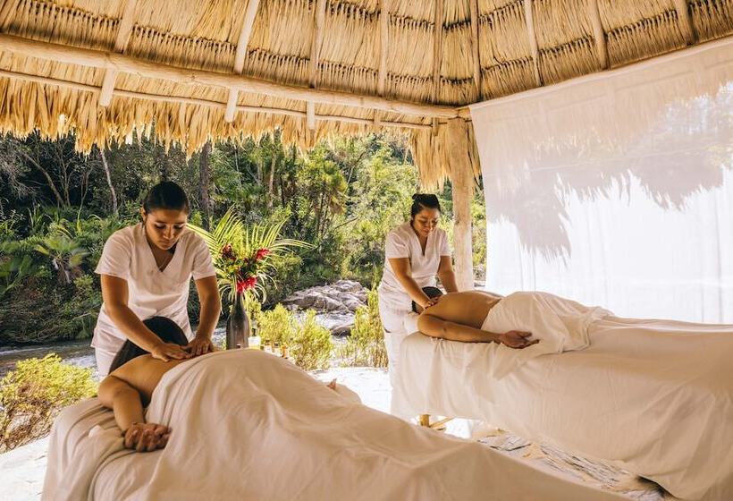 酒店 Gaia Riverlodge