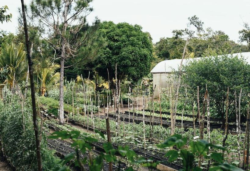 酒店 Gaia Riverlodge